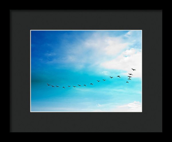 Flying Away - Framed Print