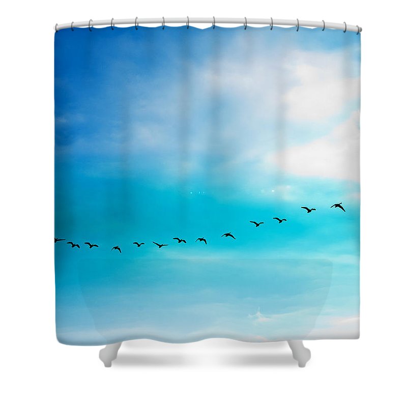 Flying Away - Shower Curtain