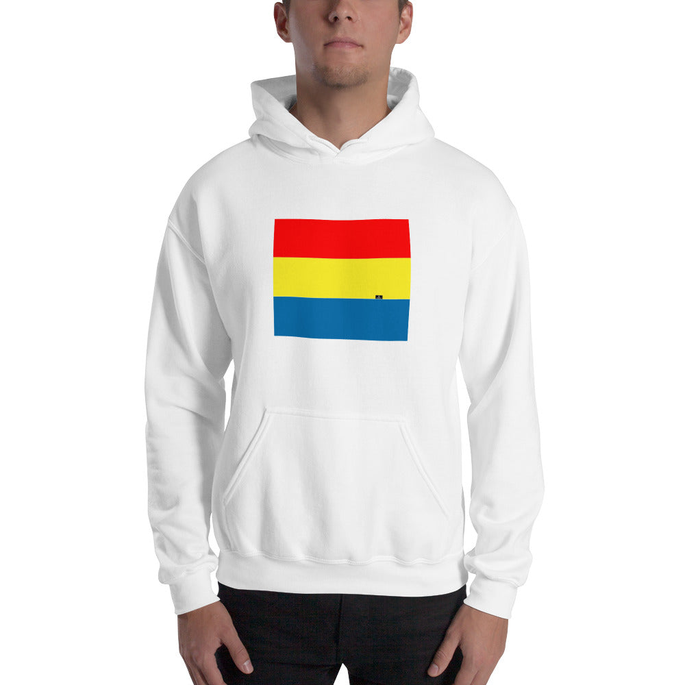 Nothing But Chaos | Unisex Tri-Color Hooded Sweatshirt